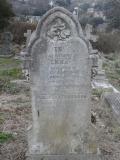 image of grave number 295011